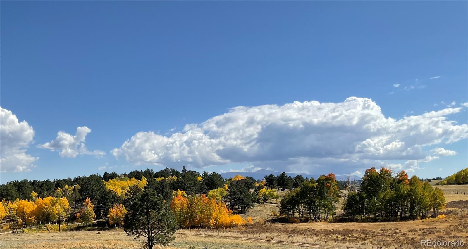 MLS Image #30 for 3153  homestake place,florissant, Colorado