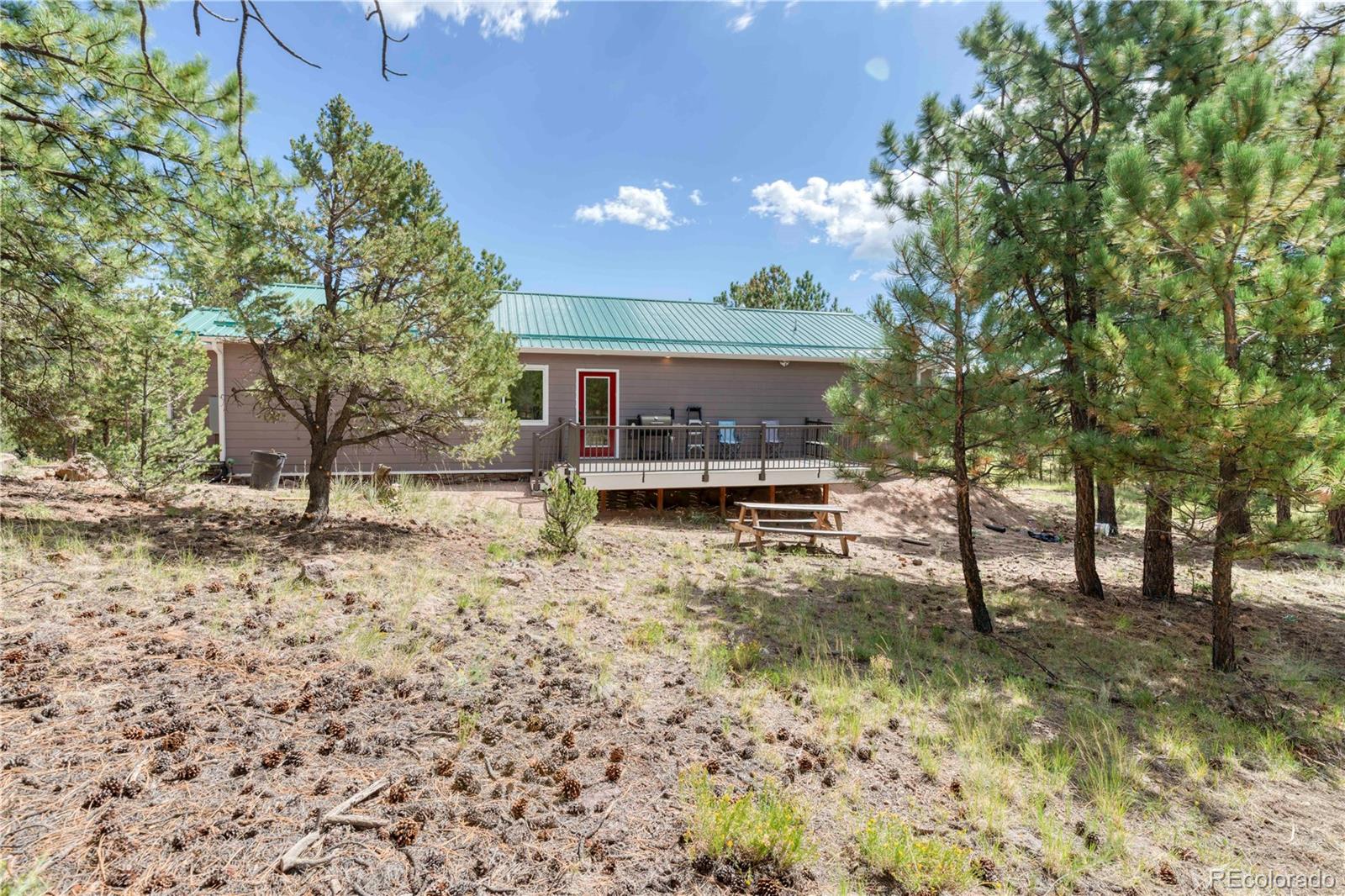MLS Image #21 for 2796  black fawn lane,westcliffe, Colorado