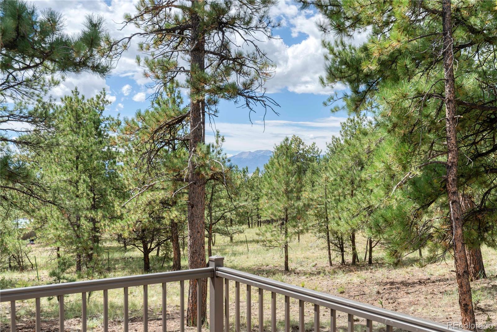 MLS Image #24 for 2796  black fawn lane,westcliffe, Colorado