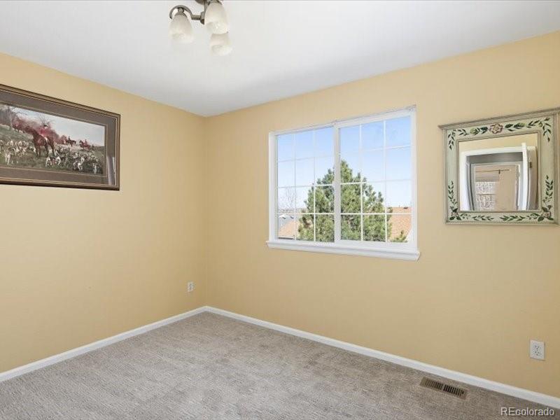 MLS Image #31 for 10048  brisbane way,highlands ranch, Colorado