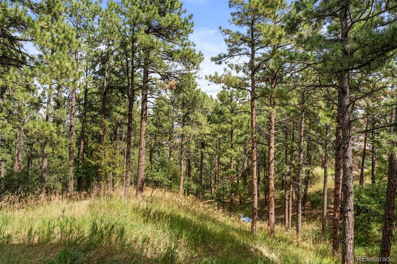 MLS Image #37 for 17  midland road,colorado springs, Colorado