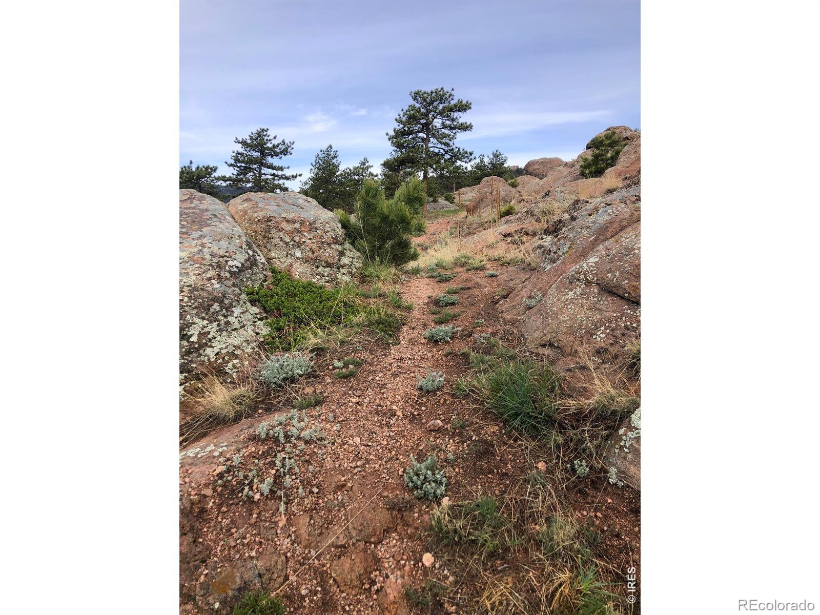 MLS Image #37 for 1960  colard lane,lyons, Colorado