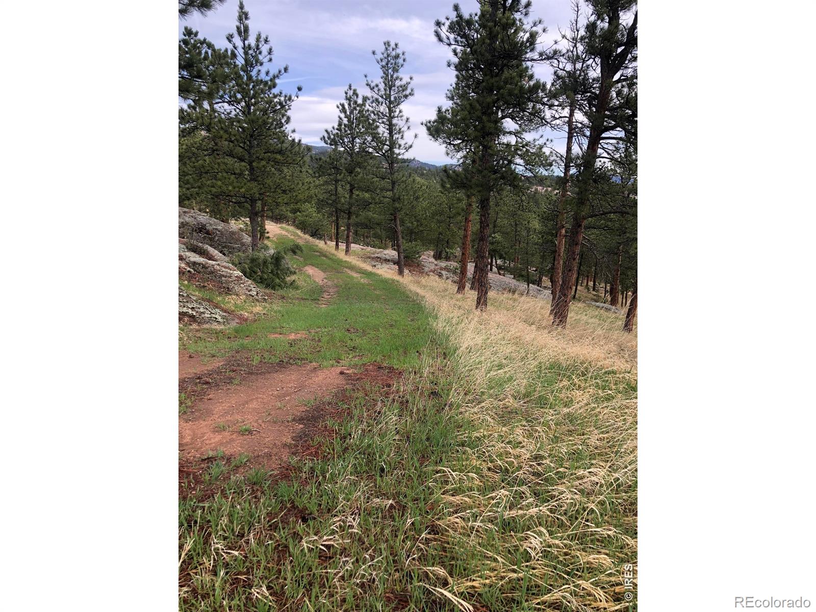 MLS Image #38 for 1960  colard lane,lyons, Colorado