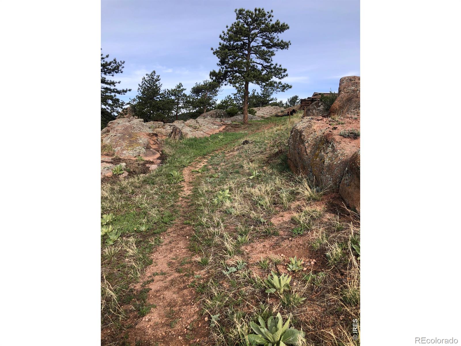 MLS Image #39 for 1960  colard lane,lyons, Colorado