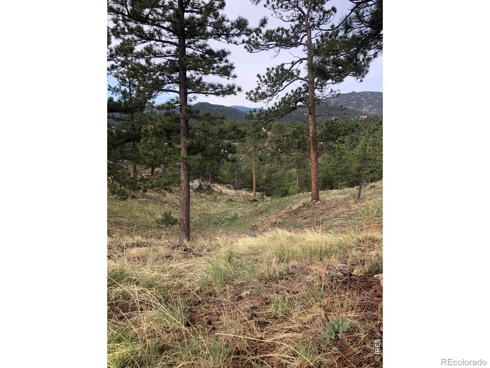 MLS Image #40 for 1960  colard lane,lyons, Colorado