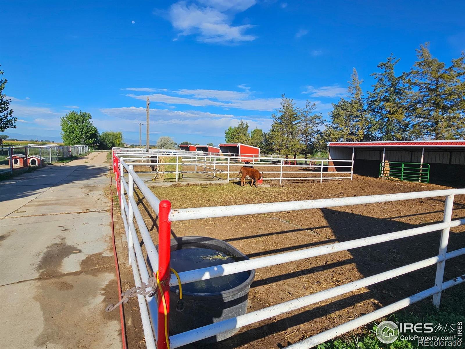 MLS Image #8 for 31793  county road 29 ,greeley, Colorado