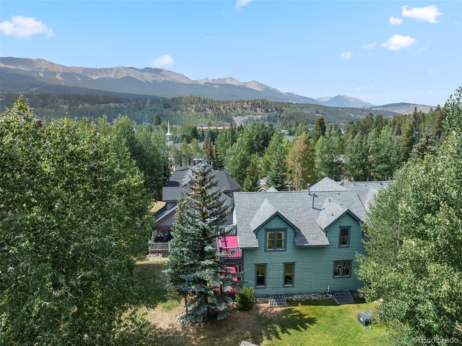 MLS Image #31 for 192  wellington road,breckenridge, Colorado