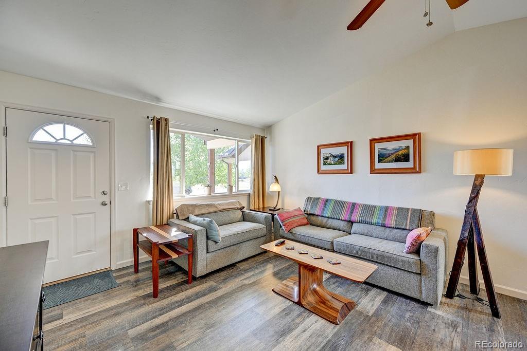 MLS Image #6 for 164  larissa lane,buena vista, Colorado