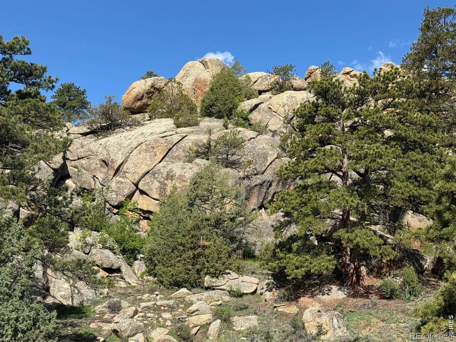 MLS Image #12 for 293  overlook court,estes park, Colorado