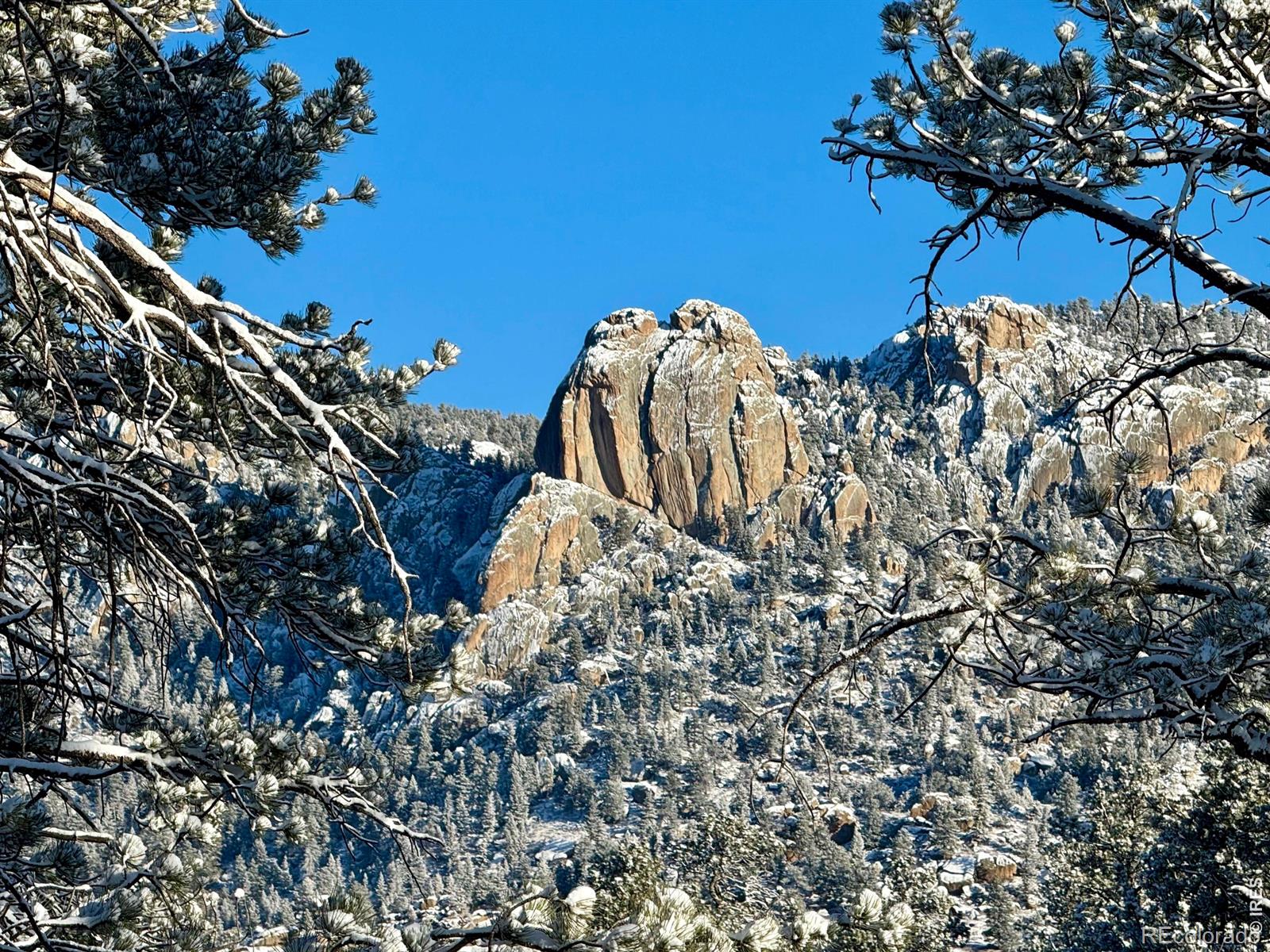 MLS Image #4 for 293  overlook court,estes park, Colorado