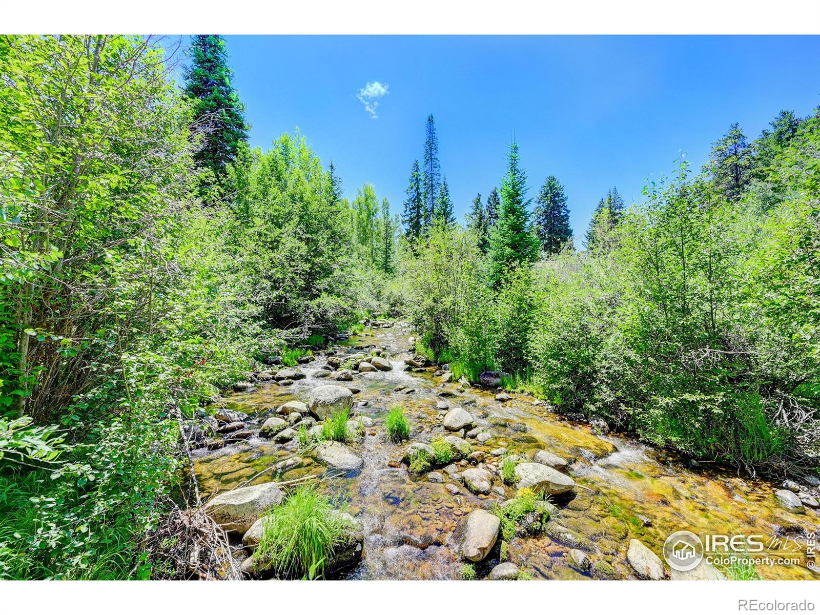 MLS Image #3 for 185  vasquez road,winter park, Colorado