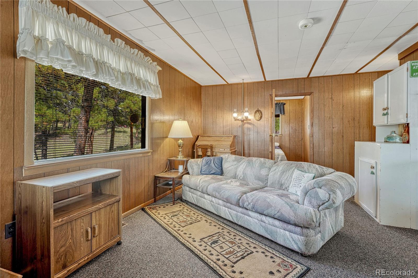 MLS Image #11 for 101  dunlap drive,florissant, Colorado