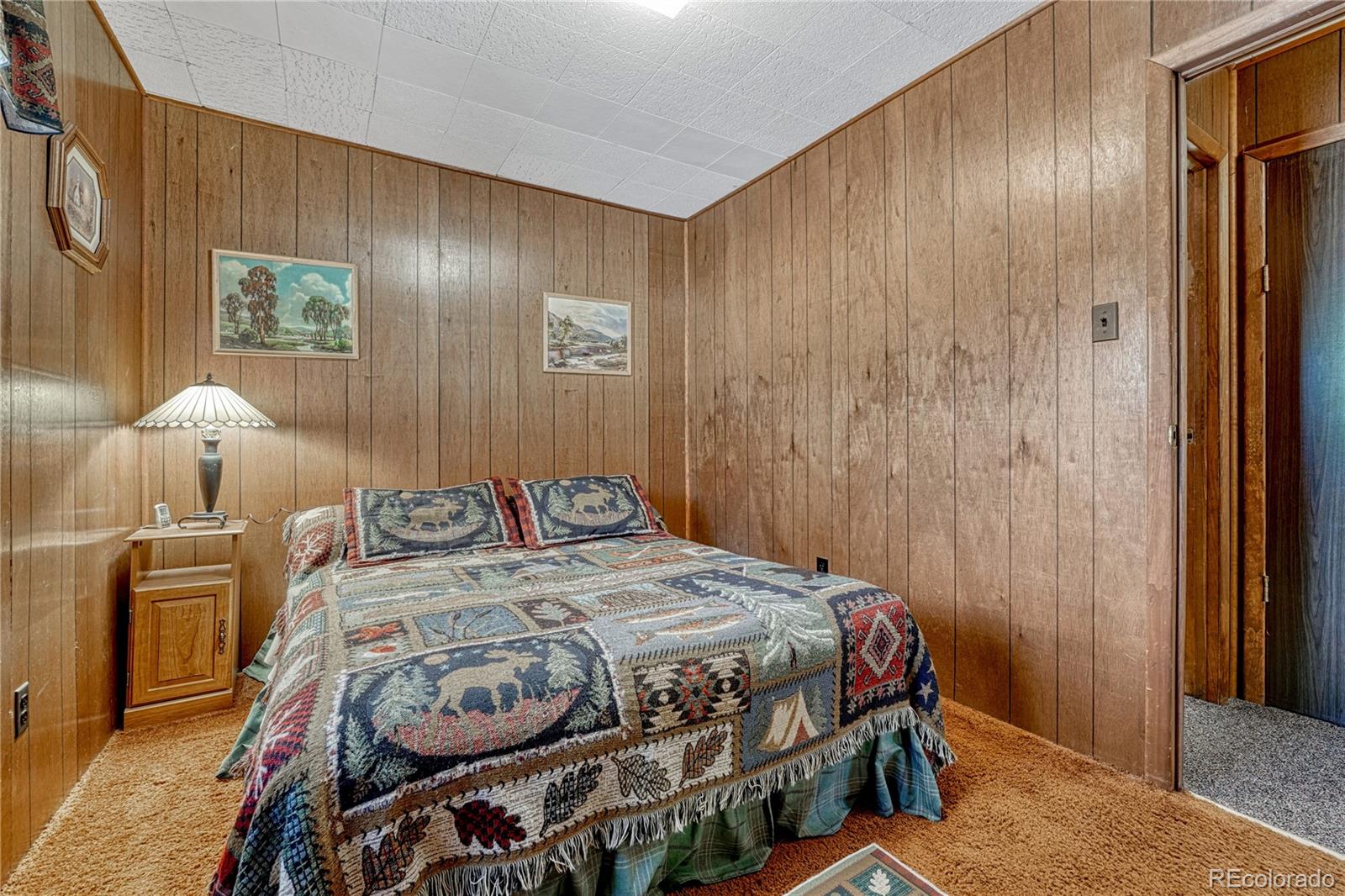MLS Image #18 for 101  dunlap drive,florissant, Colorado