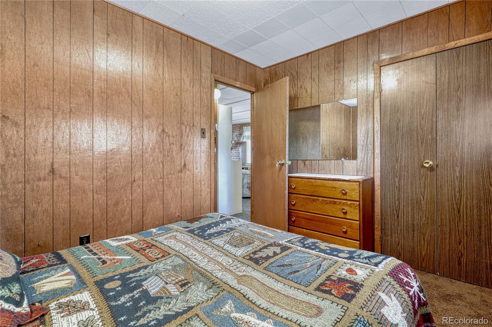 MLS Image #20 for 101  dunlap drive,florissant, Colorado