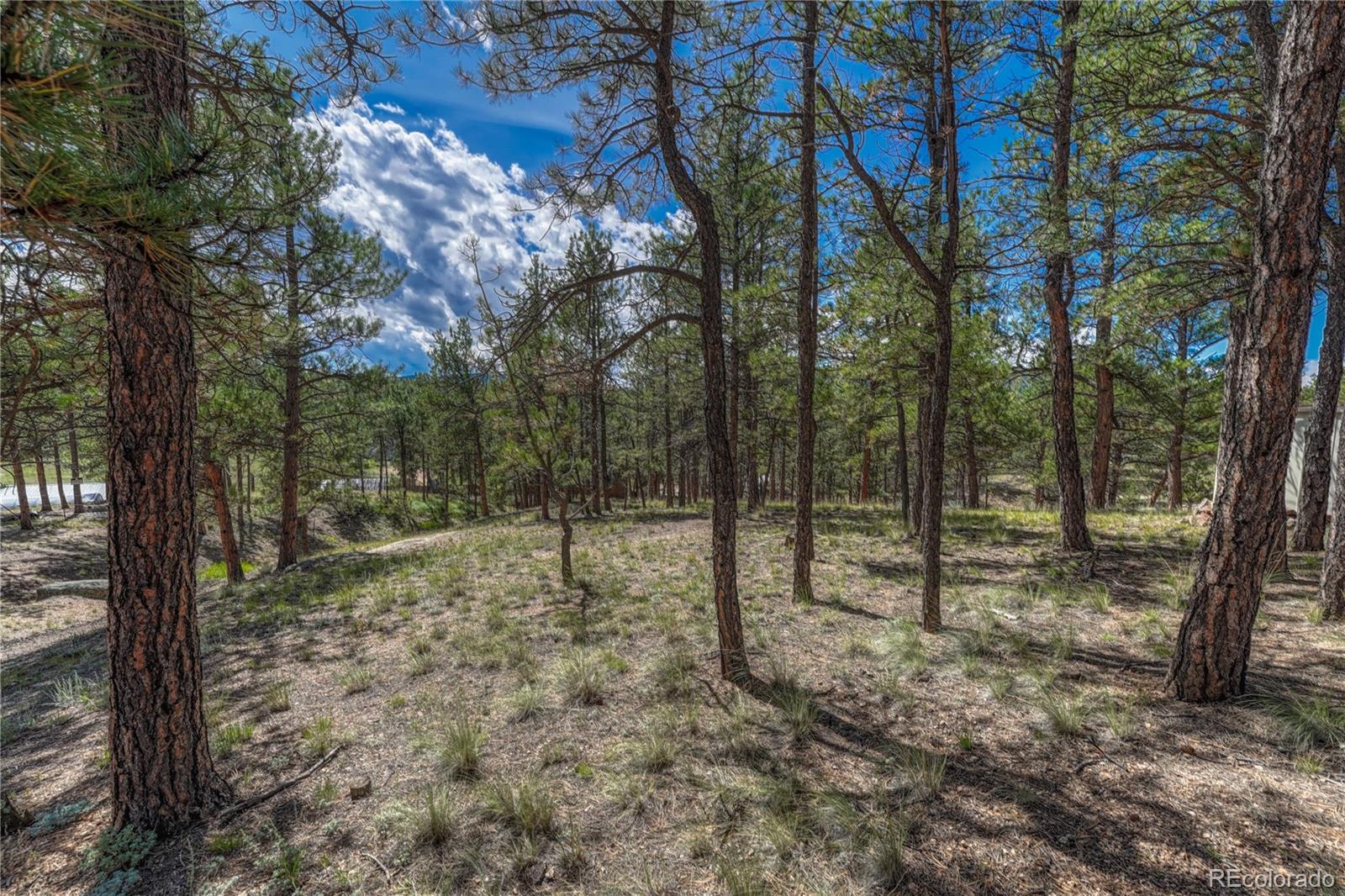 MLS Image #24 for 101  dunlap drive,florissant, Colorado