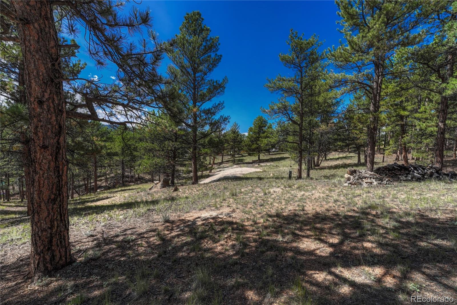MLS Image #27 for 101  dunlap drive,florissant, Colorado
