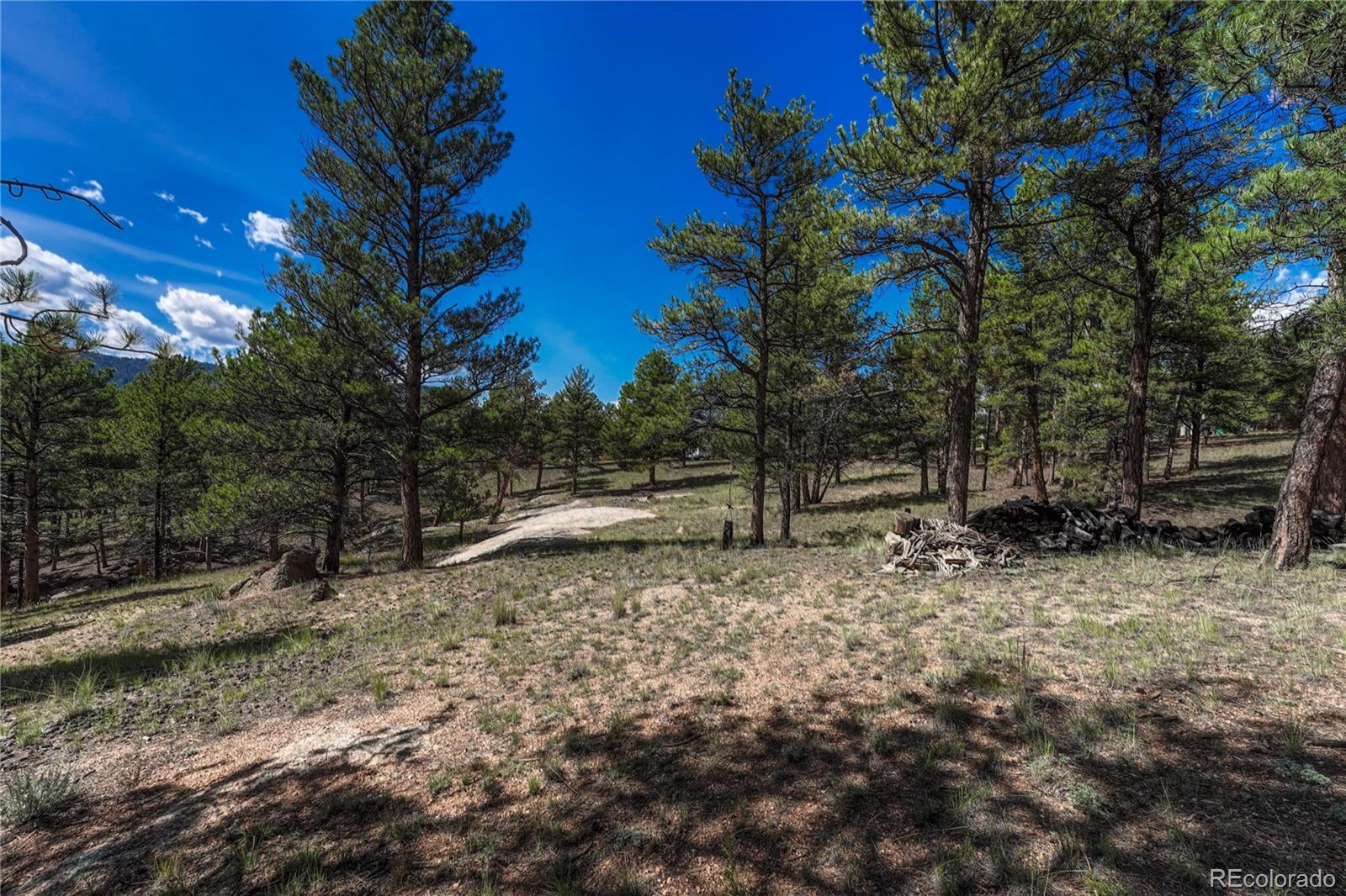 MLS Image #28 for 101  dunlap drive,florissant, Colorado