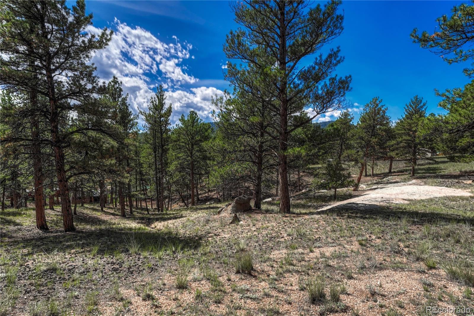 MLS Image #29 for 101  dunlap drive,florissant, Colorado