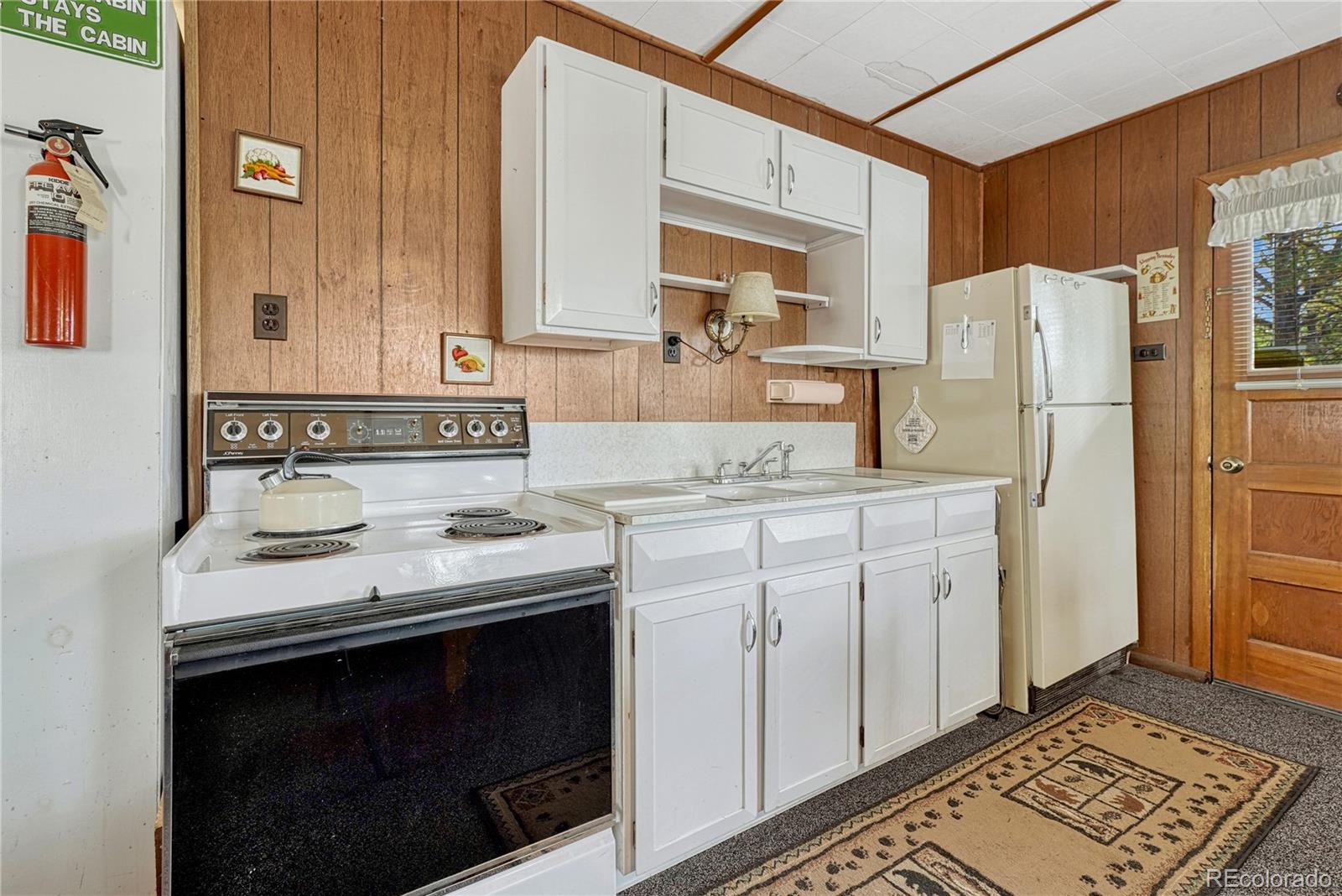MLS Image #3 for 101  dunlap drive,florissant, Colorado