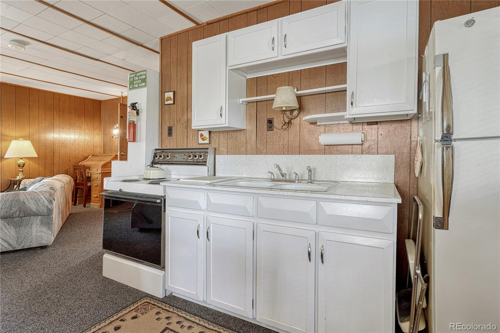 MLS Image #6 for 101  dunlap drive,florissant, Colorado