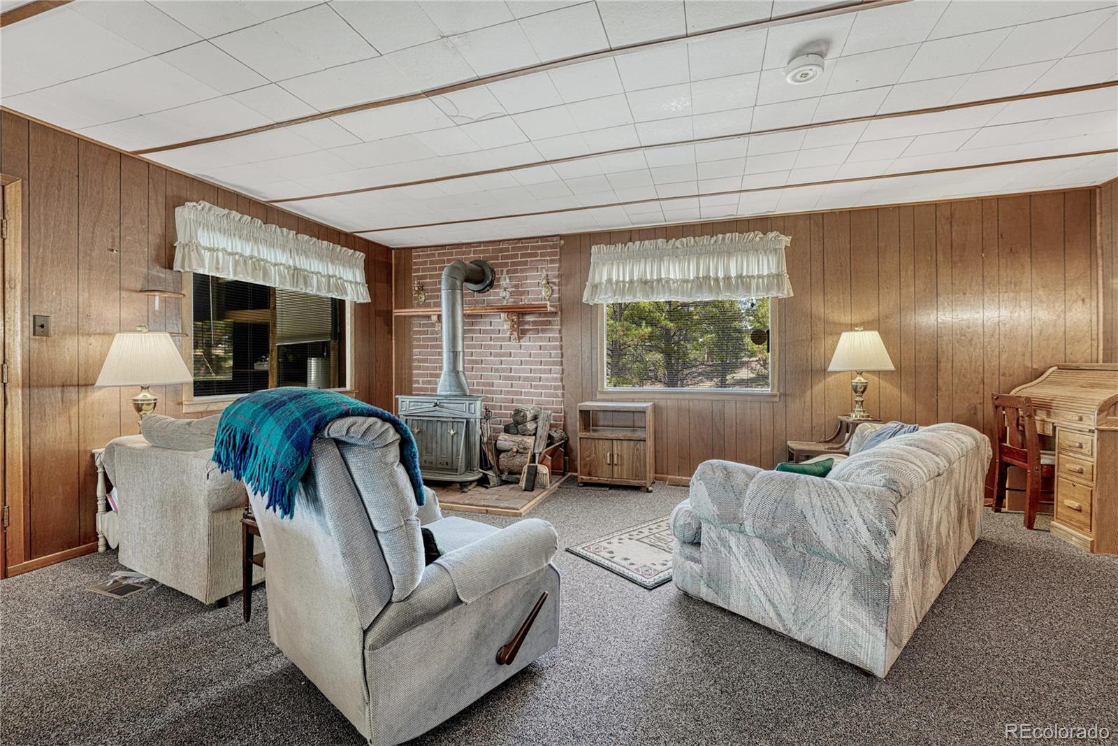 MLS Image #7 for 101  dunlap drive,florissant, Colorado