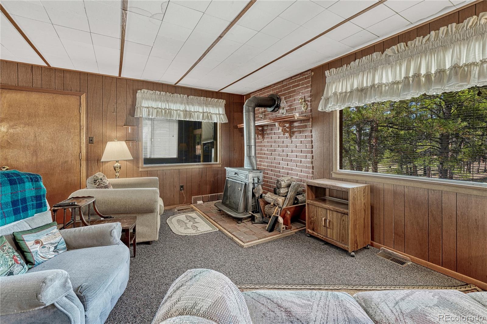 MLS Image #8 for 101  dunlap drive,florissant, Colorado
