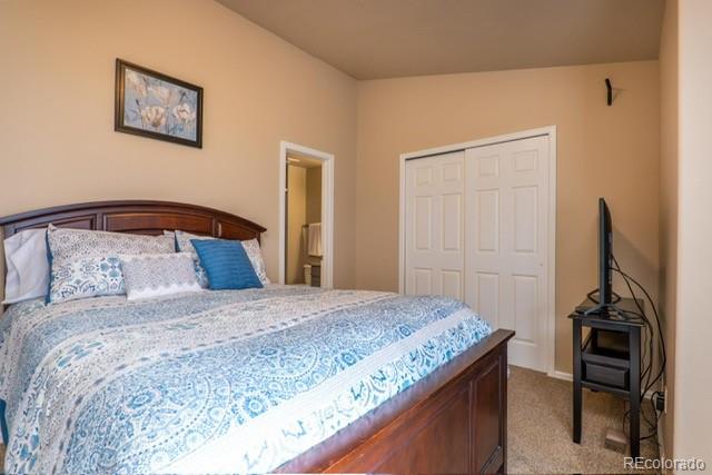 MLS Image #10 for 42  vale circle,palmer lake, Colorado