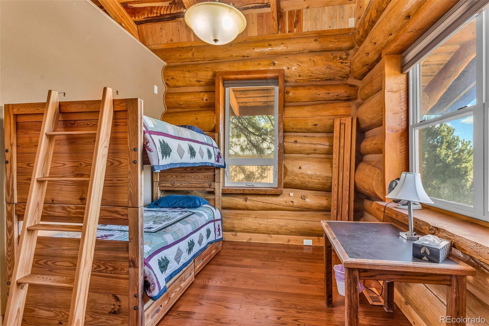 MLS Image #19 for 860  texas creek lane,cotopaxi, Colorado