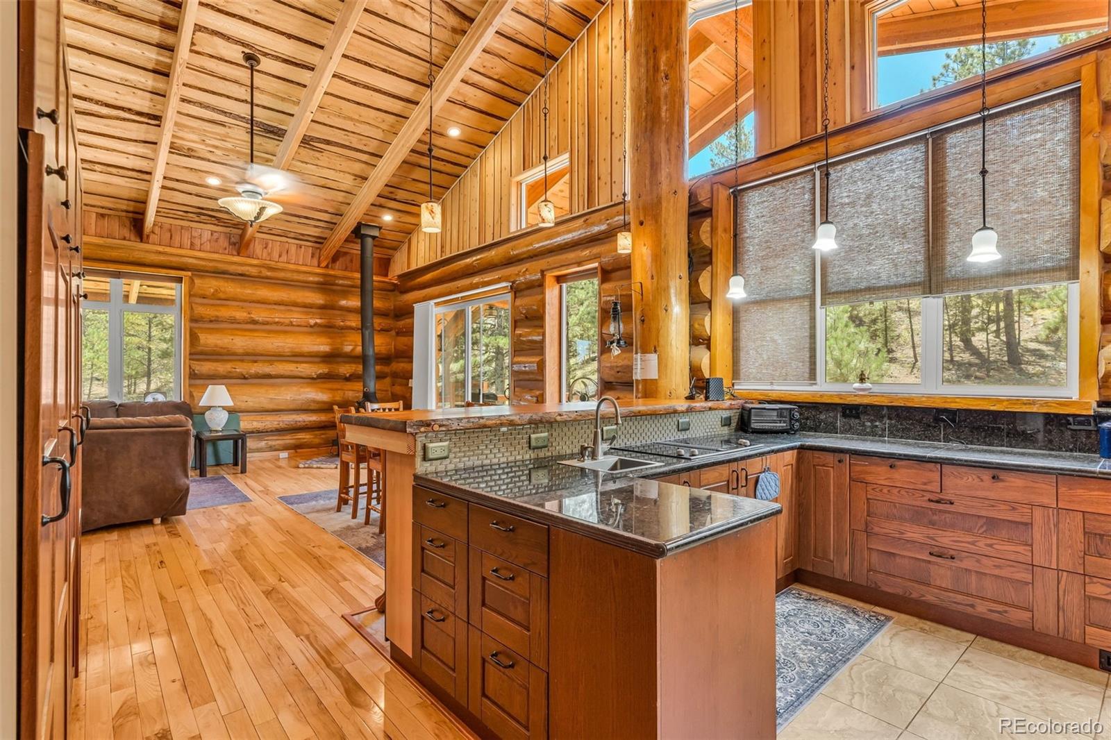 MLS Image #3 for 860  texas creek lane,cotopaxi, Colorado