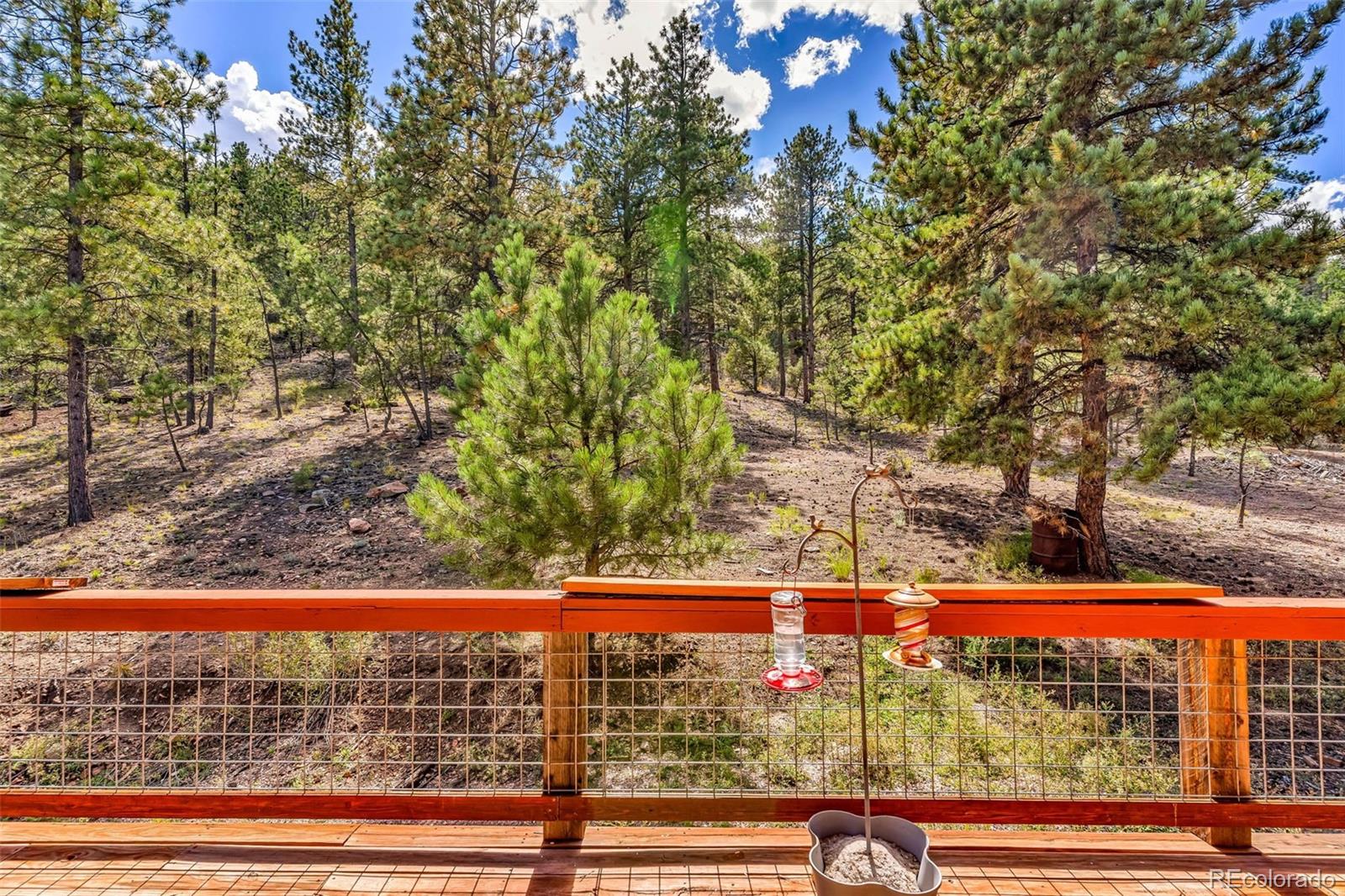 MLS Image #31 for 860  texas creek lane,cotopaxi, Colorado