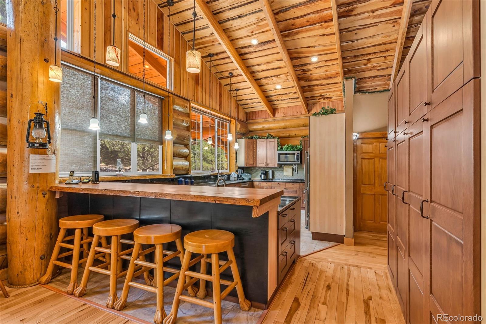 MLS Image #4 for 860  texas creek lane,cotopaxi, Colorado