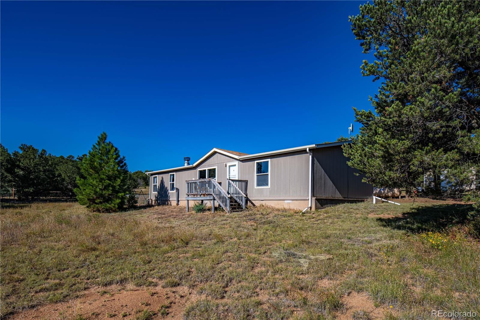 MLS Image #3 for 47  bob richards drive,cotopaxi, Colorado