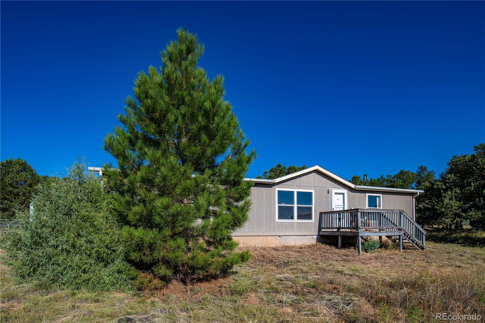 MLS Image #4 for 47  bob richards drive,cotopaxi, Colorado