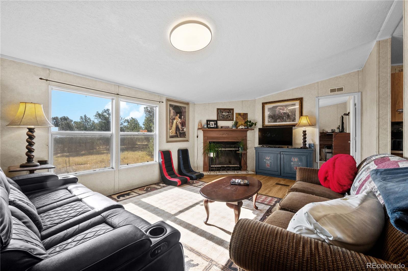 MLS Image #9 for 47  bob richards drive,cotopaxi, Colorado