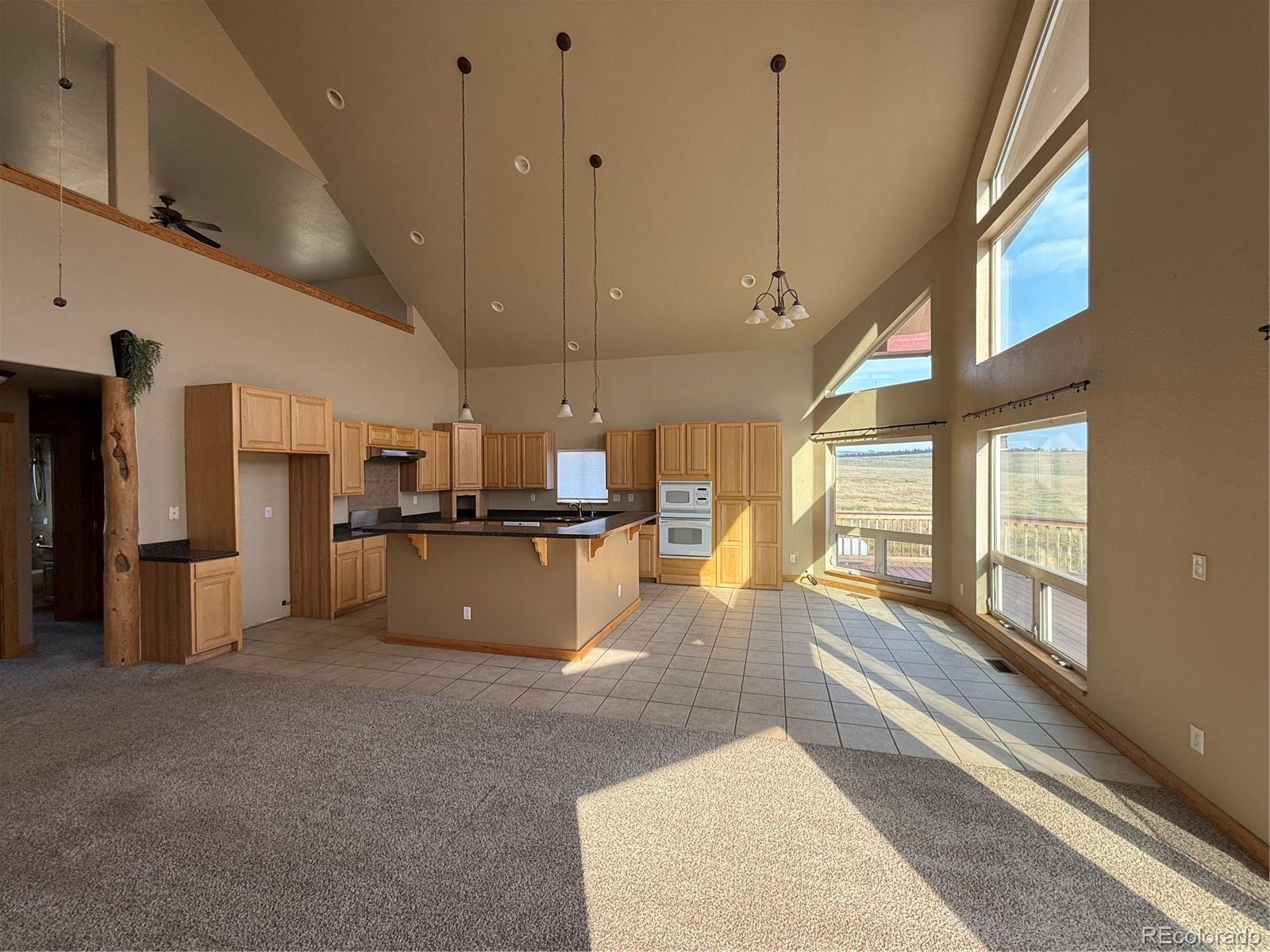 MLS Image #19 for 22500  cow circle,ramah, Colorado