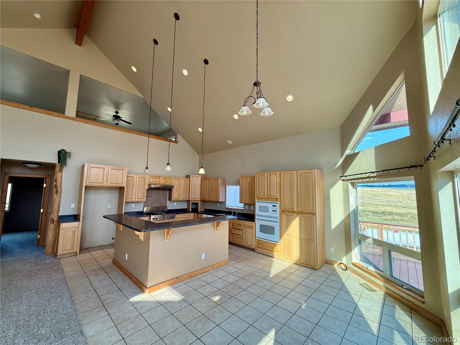 MLS Image #20 for 22500  cow circle,ramah, Colorado