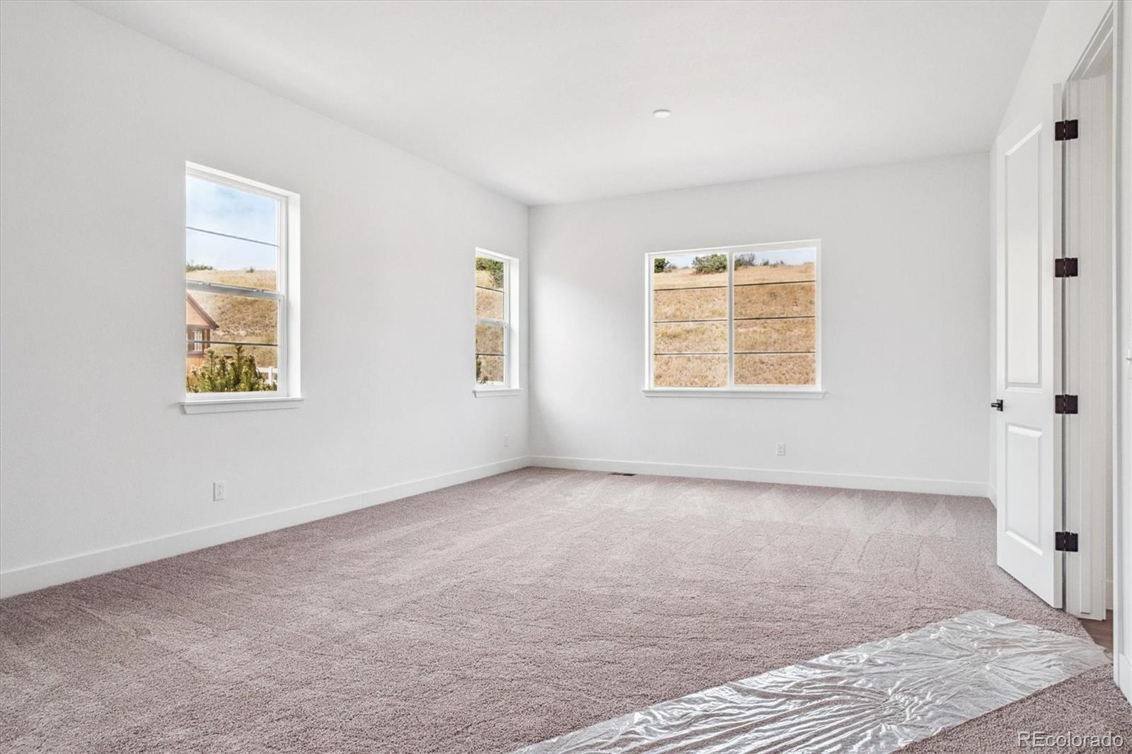 MLS Image #15 for 1607  green fern point,castle rock, Colorado