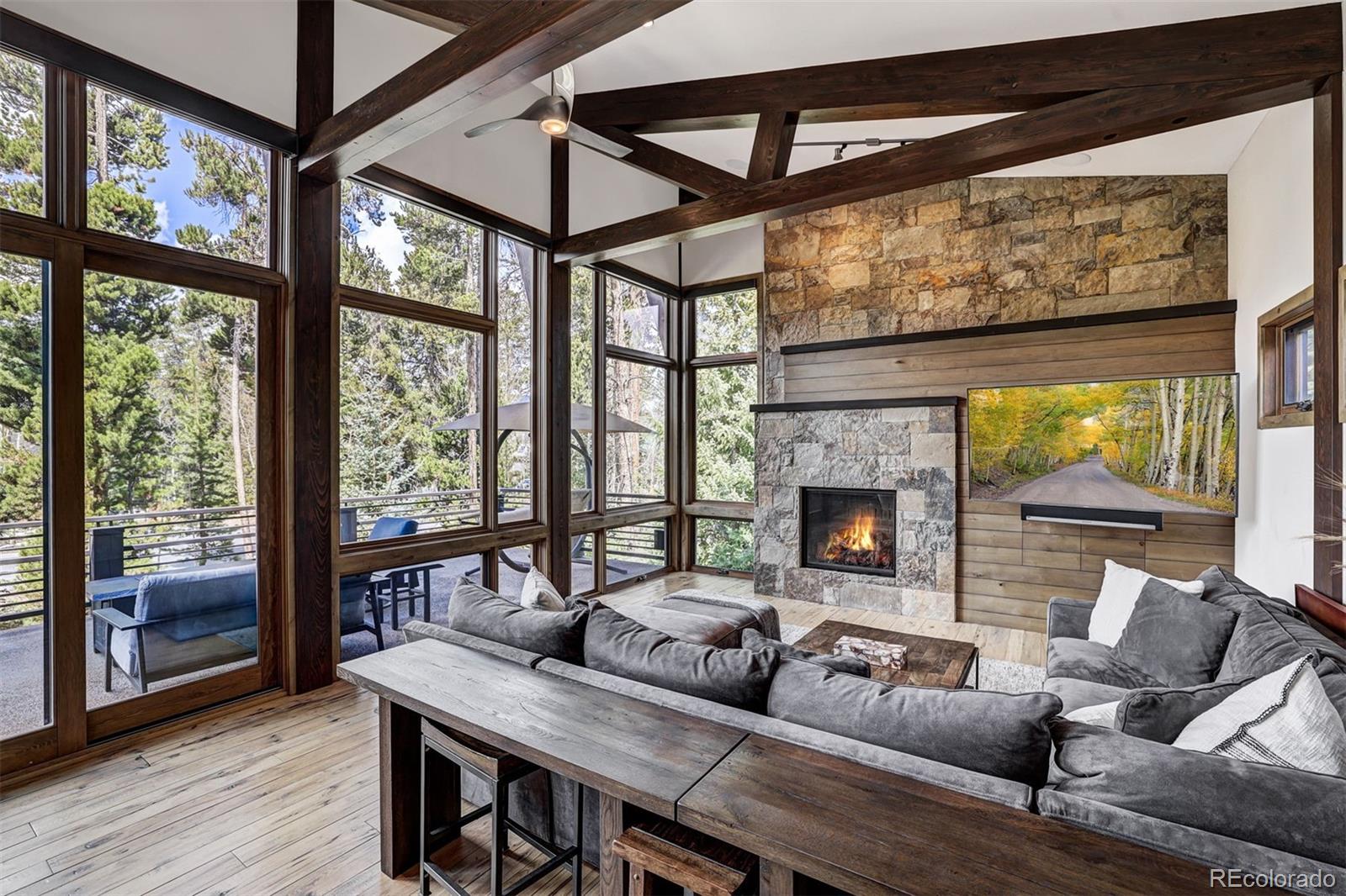 MLS Image #13 for 106 n gold flake terrace,breckenridge, Colorado