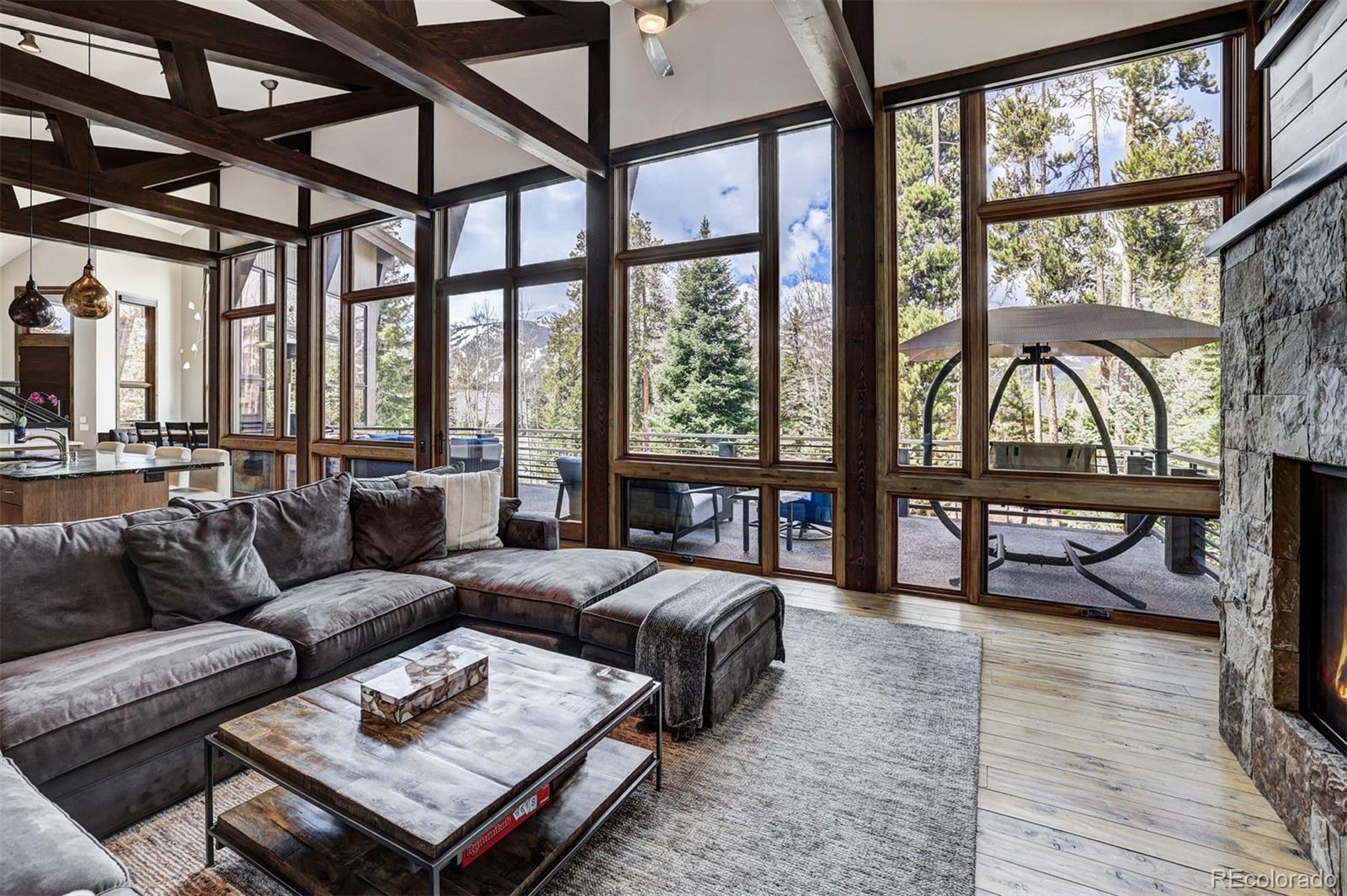 MLS Image #14 for 106 n gold flake terrace,breckenridge, Colorado