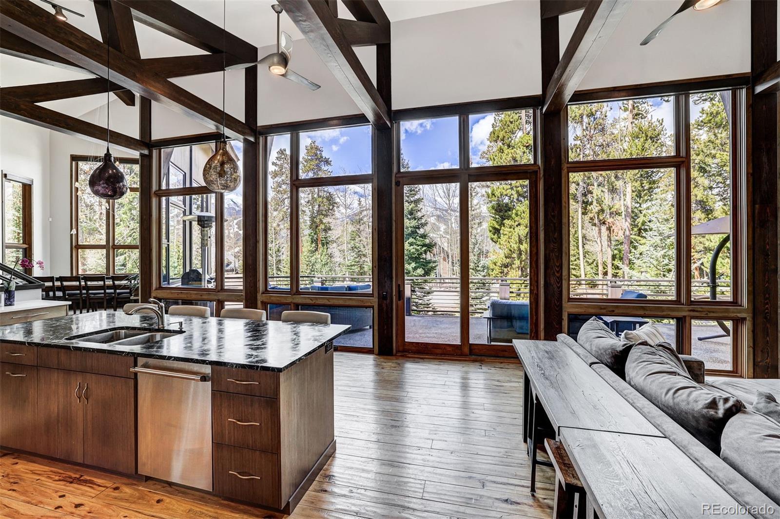 MLS Image #15 for 106 n gold flake terrace,breckenridge, Colorado
