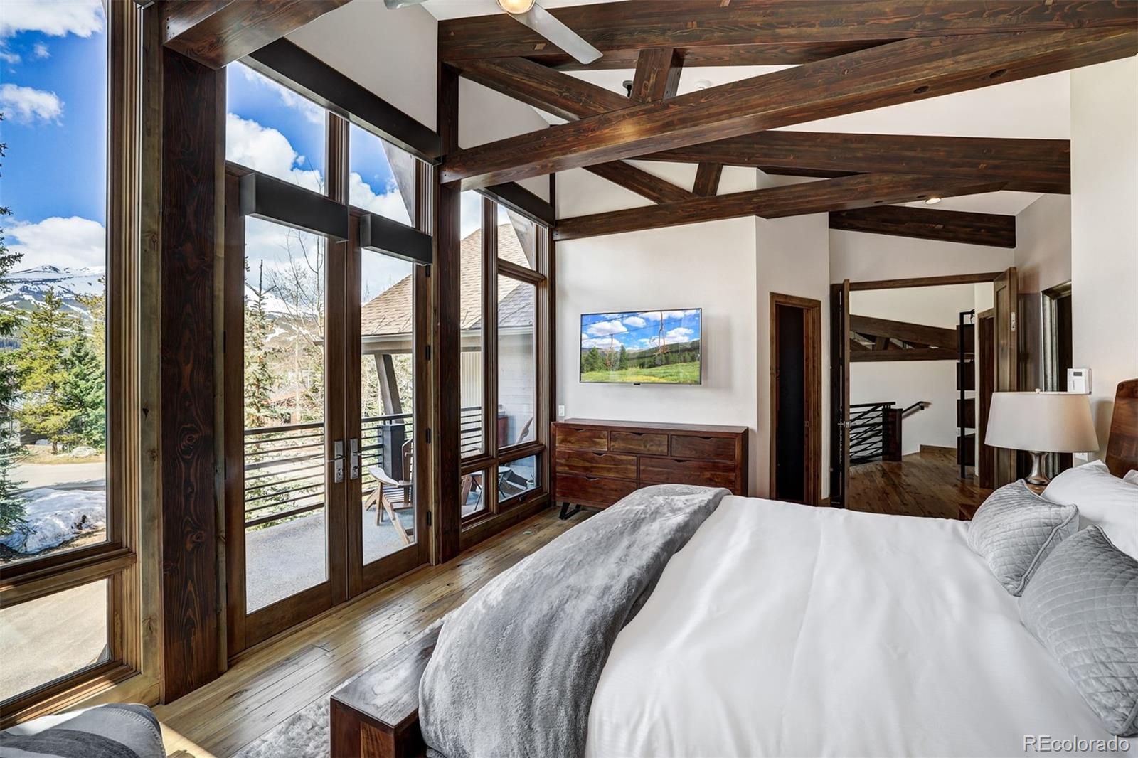 MLS Image #19 for 106 n gold flake terrace,breckenridge, Colorado