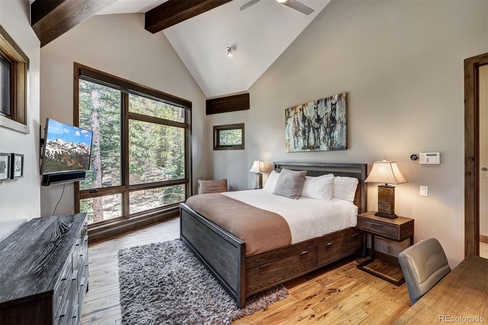 MLS Image #23 for 106 n gold flake terrace,breckenridge, Colorado