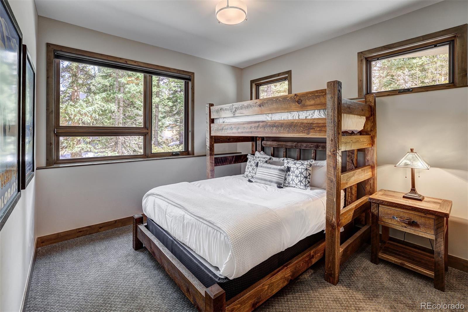 MLS Image #30 for 106 n gold flake terrace,breckenridge, Colorado