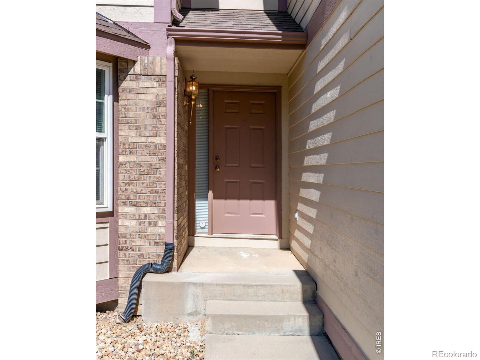 MLS Image #4 for 3617  sunflower circle,longmont, Colorado