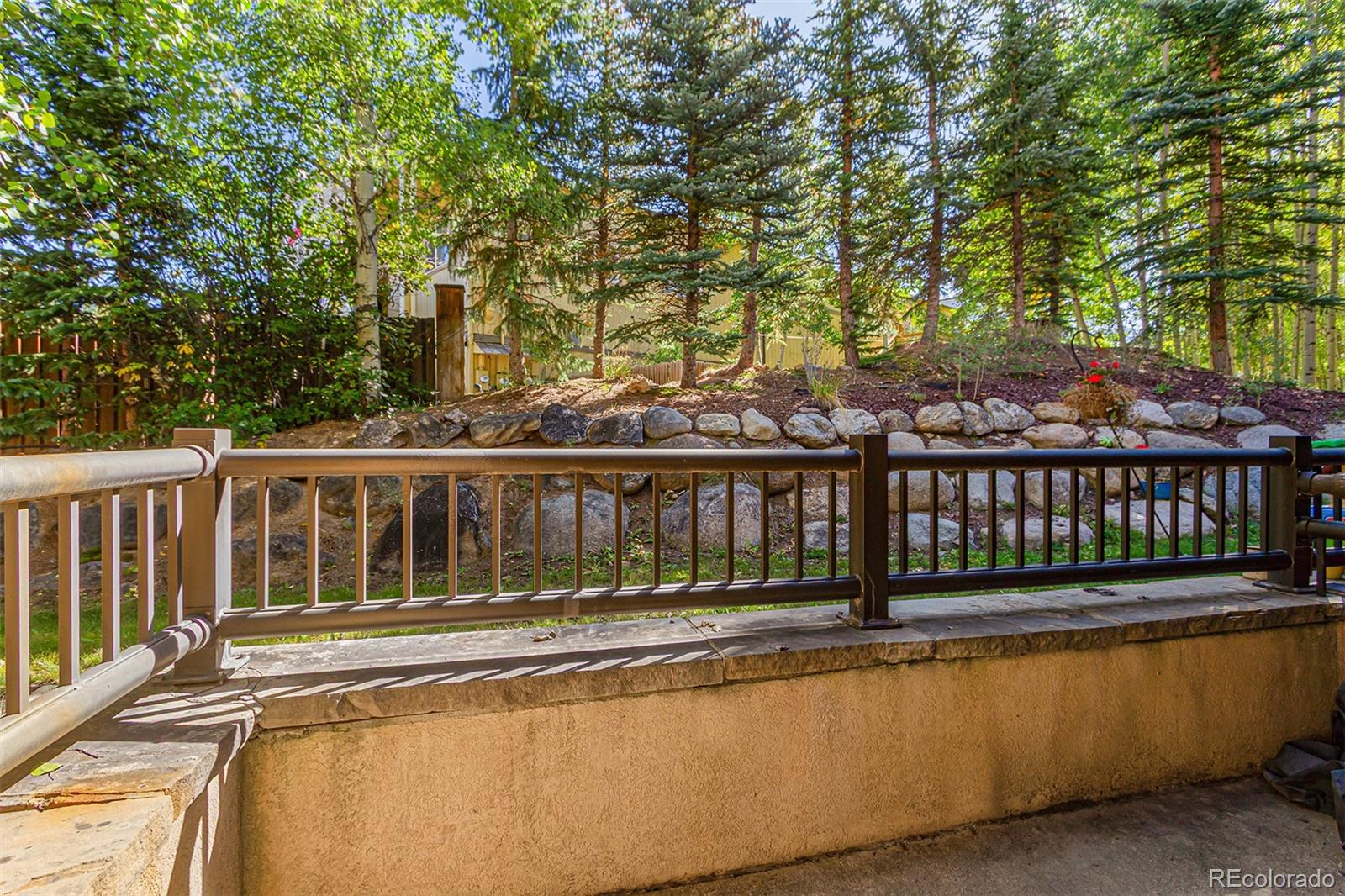 MLS Image #20 for 62  broken lance drive,breckenridge, Colorado