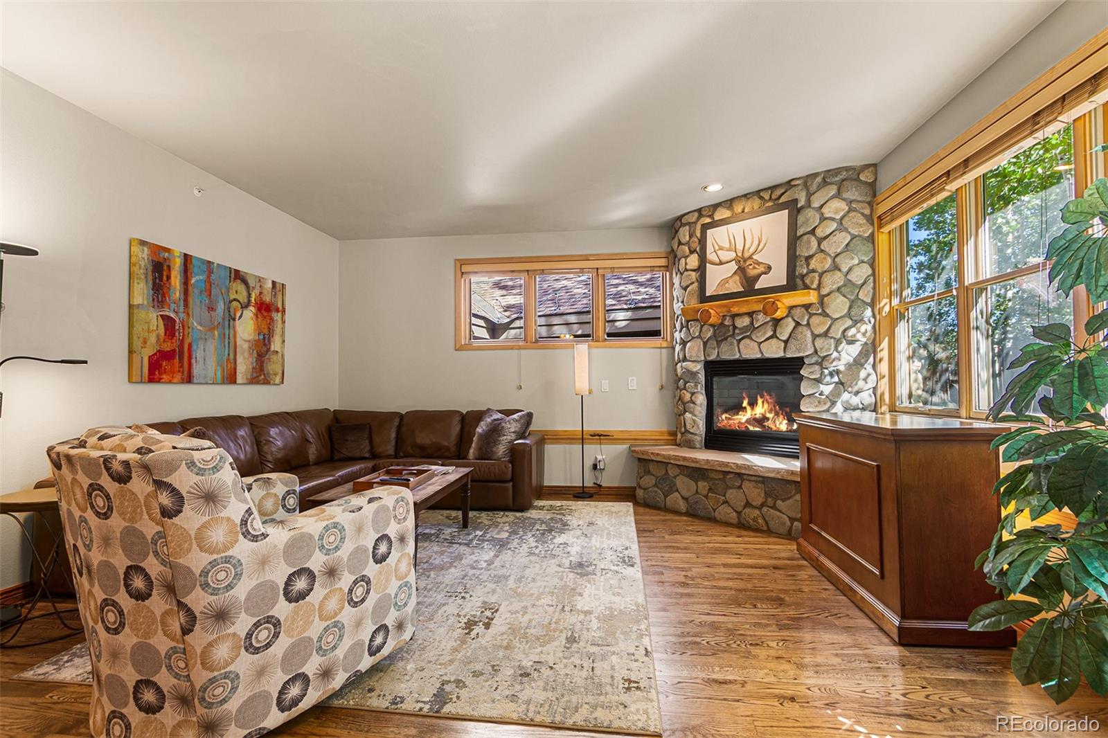 MLS Image #6 for 62  broken lance drive,breckenridge, Colorado