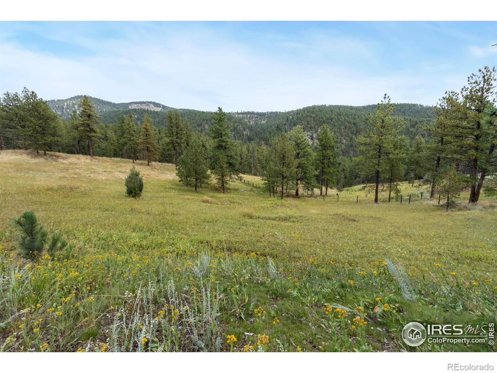 MLS Image #4 for 16235 w county road 18 ,loveland, Colorado