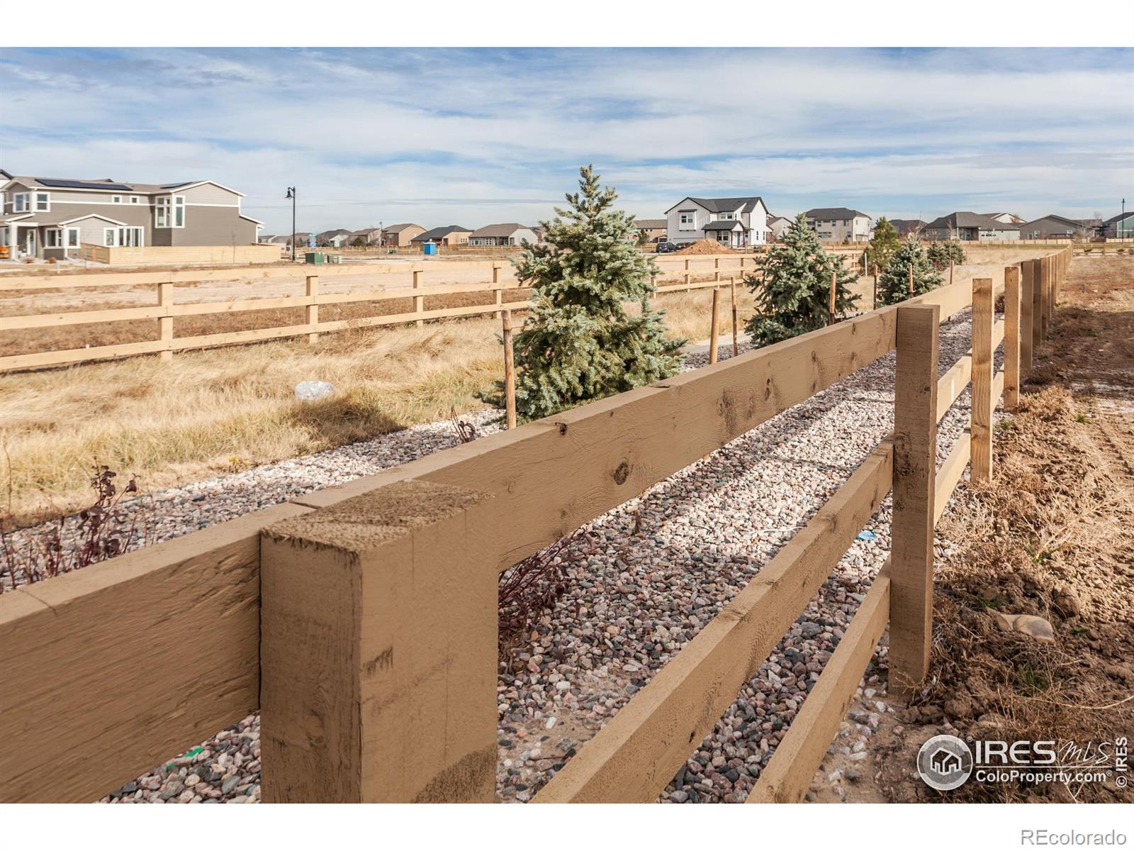 MLS Image #37 for 6100  gault road,timnath, Colorado