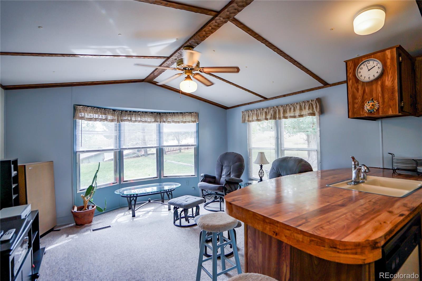 MLS Image #10 for 301 w ryus avenue,la veta, Colorado