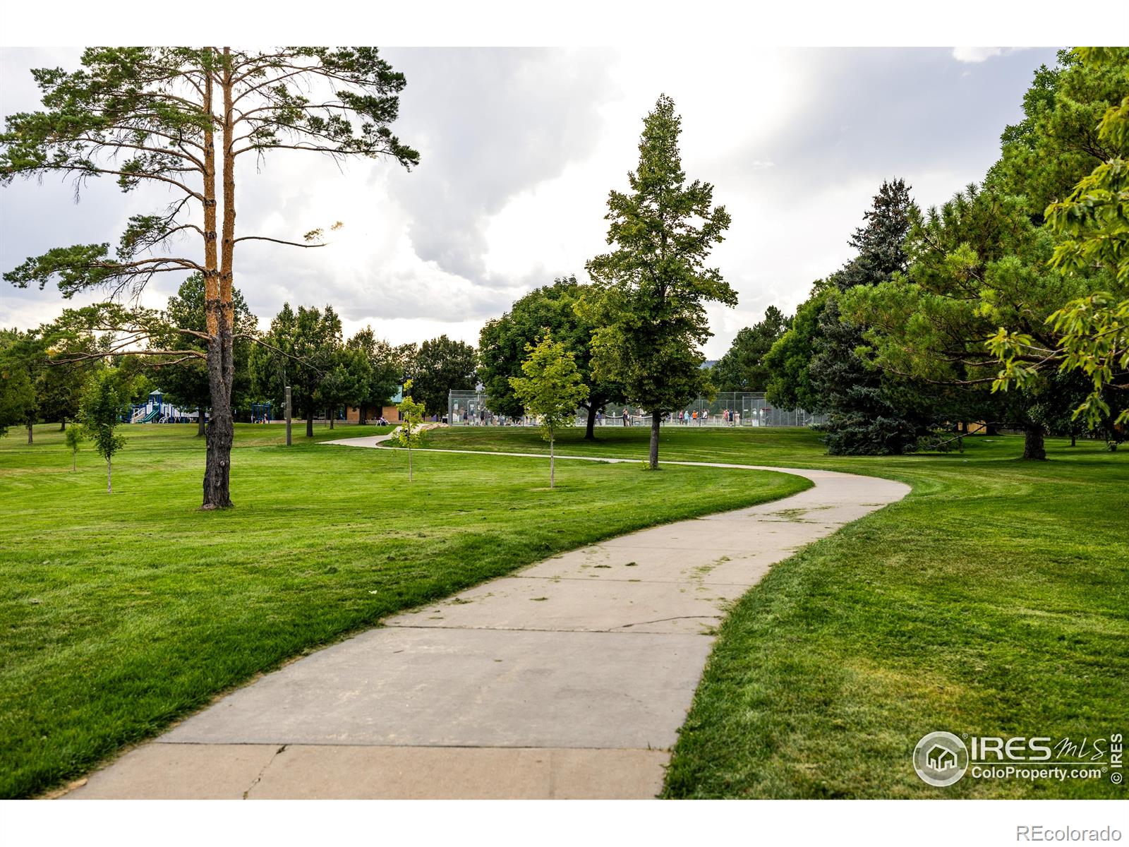 MLS Image #22 for 814  arbor avenue,fort collins, Colorado